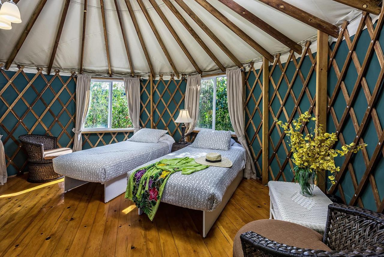 Hawaii Island Retreat At Ahu Pohaku Ho'Omaluhia Villa Kapaau Ngoại thất bức ảnh