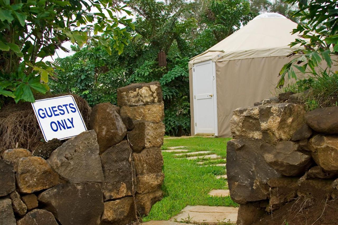 Hawaii Island Retreat At Ahu Pohaku Ho'Omaluhia Villa Kapaau Ngoại thất bức ảnh