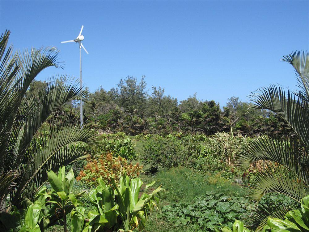Hawaii Island Retreat At Ahu Pohaku Ho'Omaluhia Villa Kapaau Ngoại thất bức ảnh