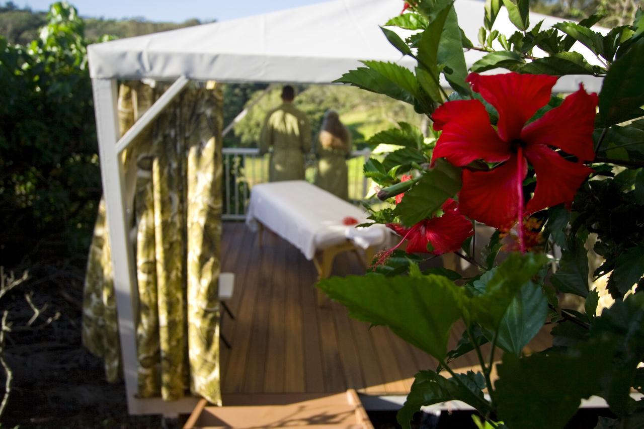 Hawaii Island Retreat At Ahu Pohaku Ho'Omaluhia Villa Kapaau Ngoại thất bức ảnh