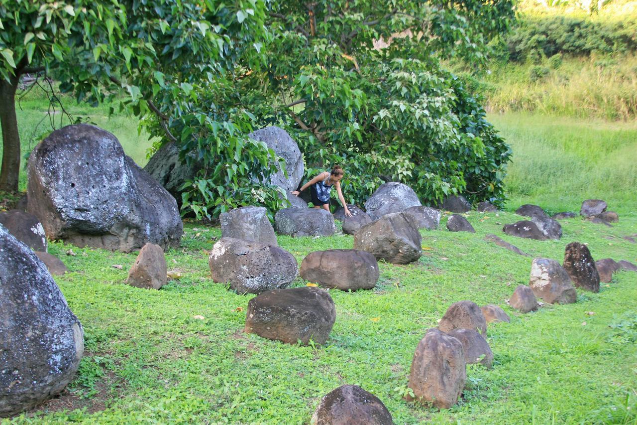 Hawaii Island Retreat At Ahu Pohaku Ho'Omaluhia Villa Kapaau Ngoại thất bức ảnh