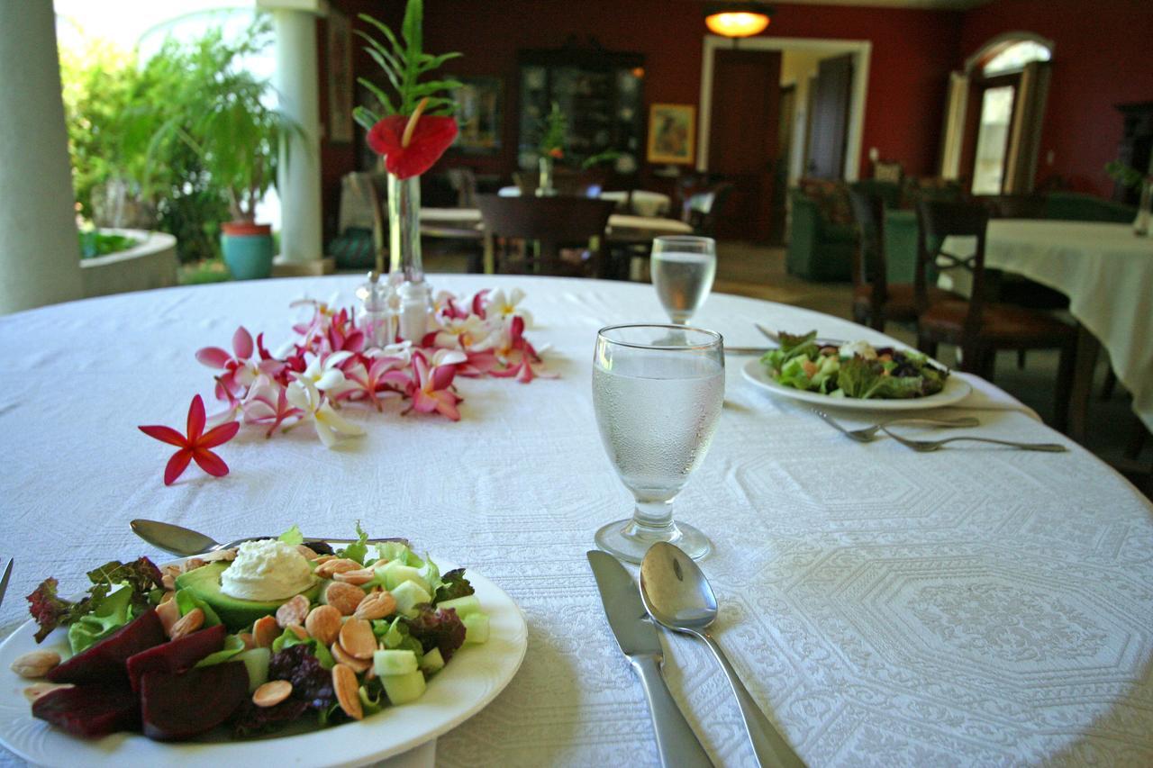 Hawaii Island Retreat At Ahu Pohaku Ho'Omaluhia Villa Kapaau Ngoại thất bức ảnh