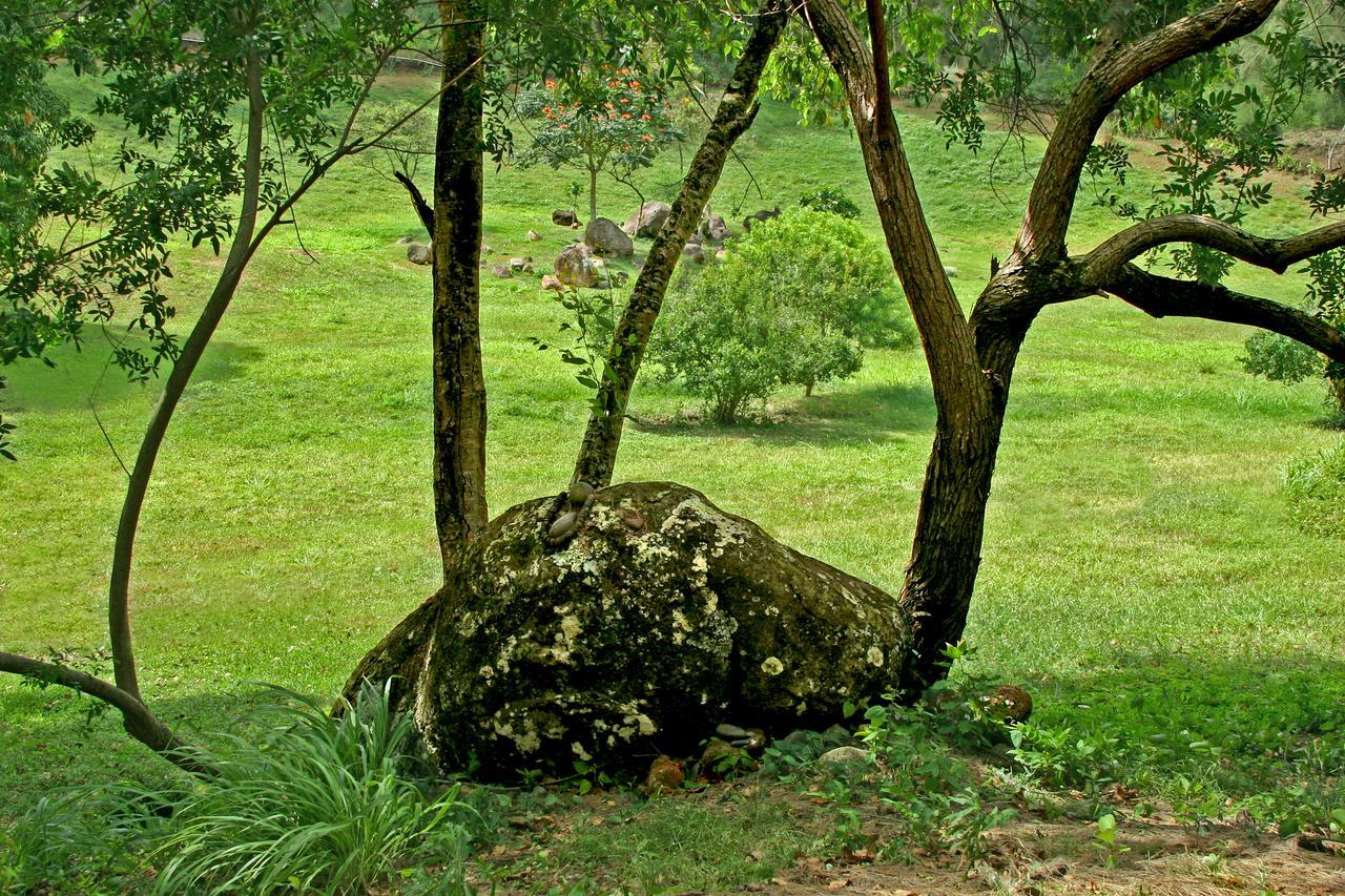 Hawaii Island Retreat At Ahu Pohaku Ho'Omaluhia Villa Kapaau Ngoại thất bức ảnh