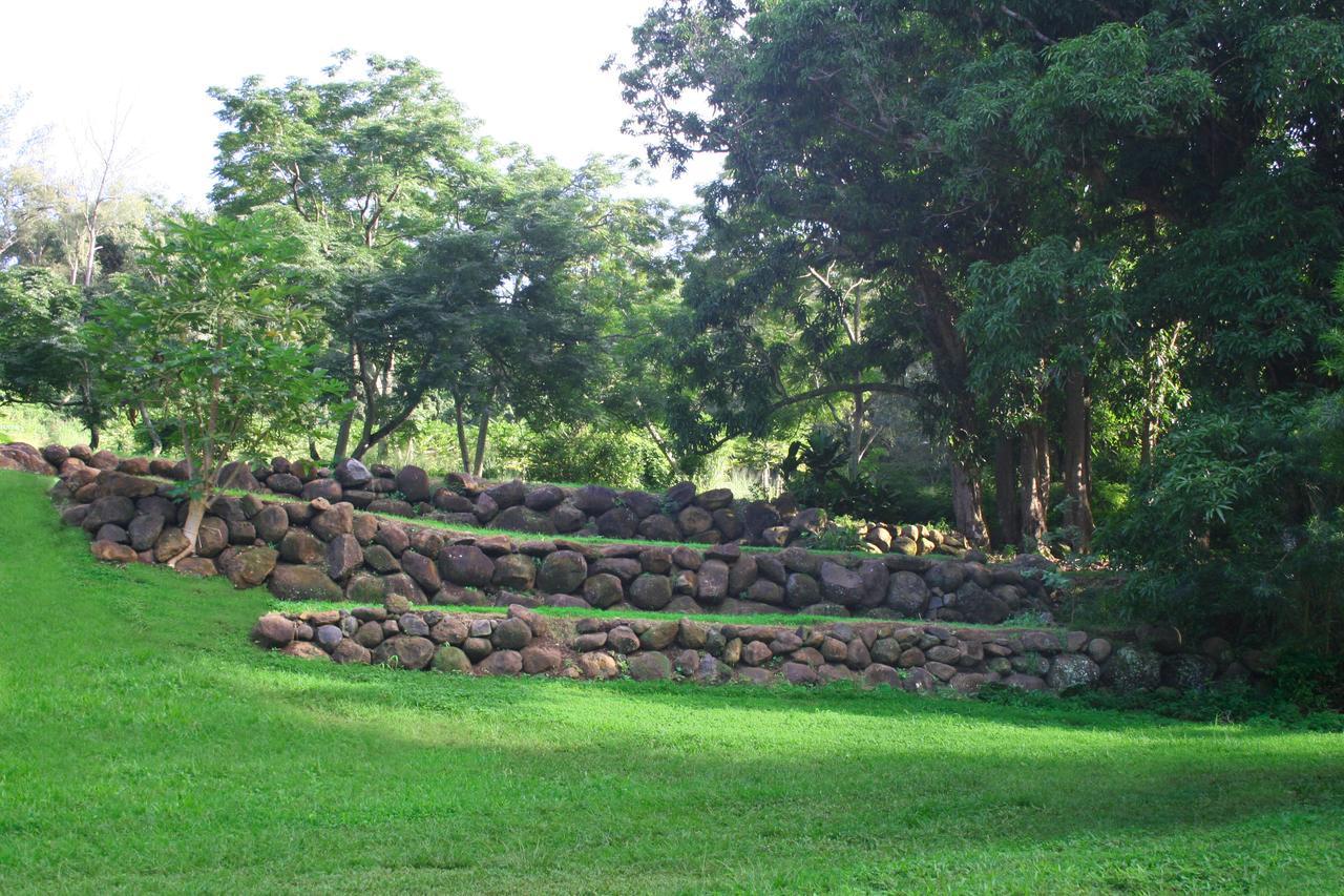 Hawaii Island Retreat At Ahu Pohaku Ho'Omaluhia Villa Kapaau Ngoại thất bức ảnh