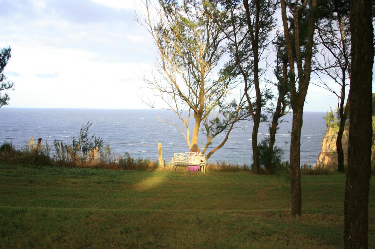 Hawaii Island Retreat At Ahu Pohaku Ho'Omaluhia Villa Kapaau Ngoại thất bức ảnh