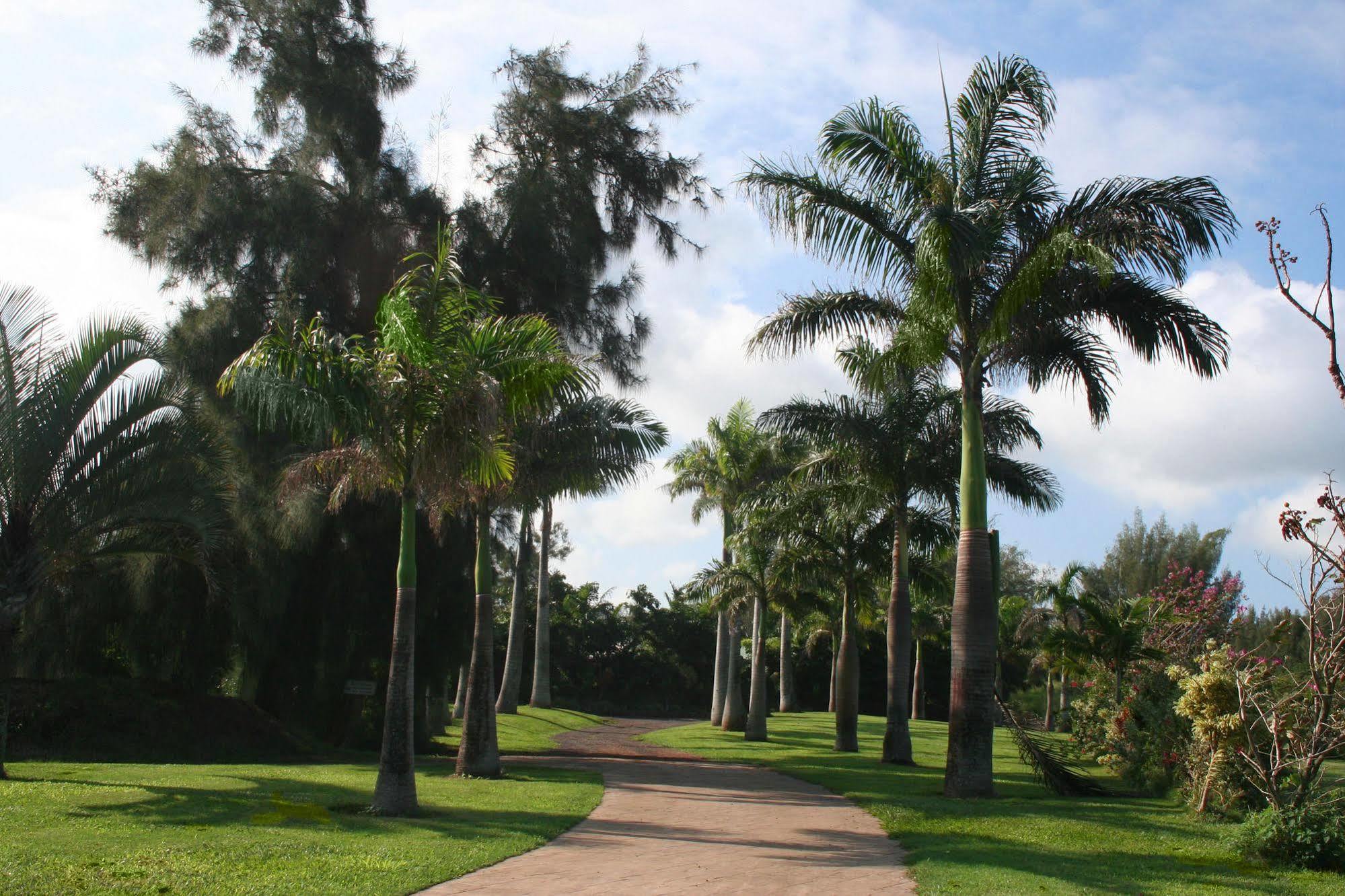Hawaii Island Retreat At Ahu Pohaku Ho'Omaluhia Villa Kapaau Ngoại thất bức ảnh